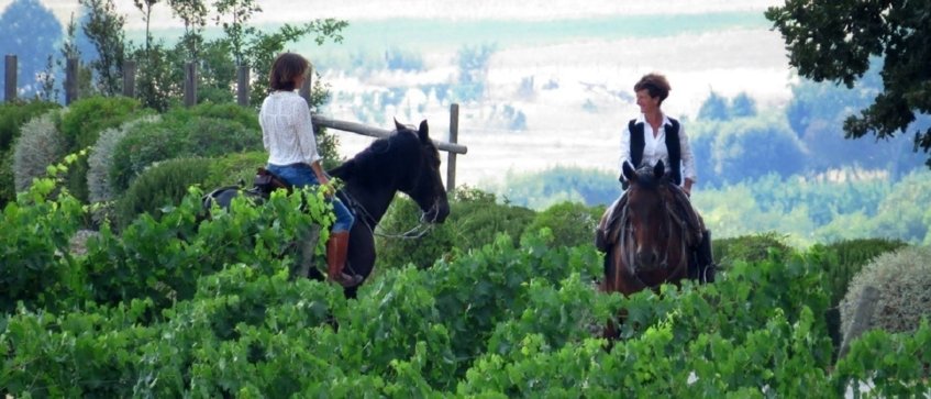 luxury horse riding experience - Wine Paths